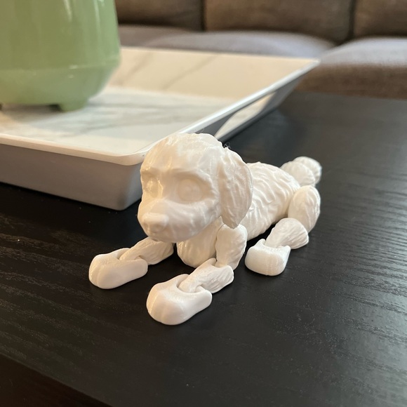 Puppy fidget - Picture 2 of 2